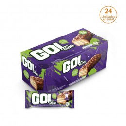 MINI GOL 14GR DX24 CX12